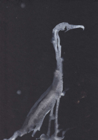 http://www.actionaqua.com/files/gimgs/th-111_FHD 15 21_v2.jpg